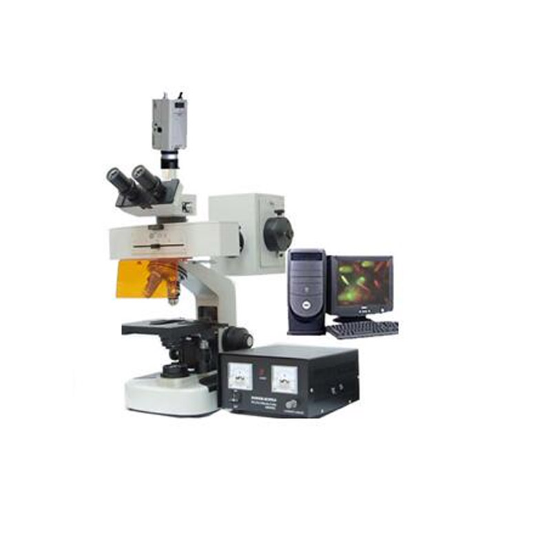 研究型熒光顯微鏡BFM-100系列